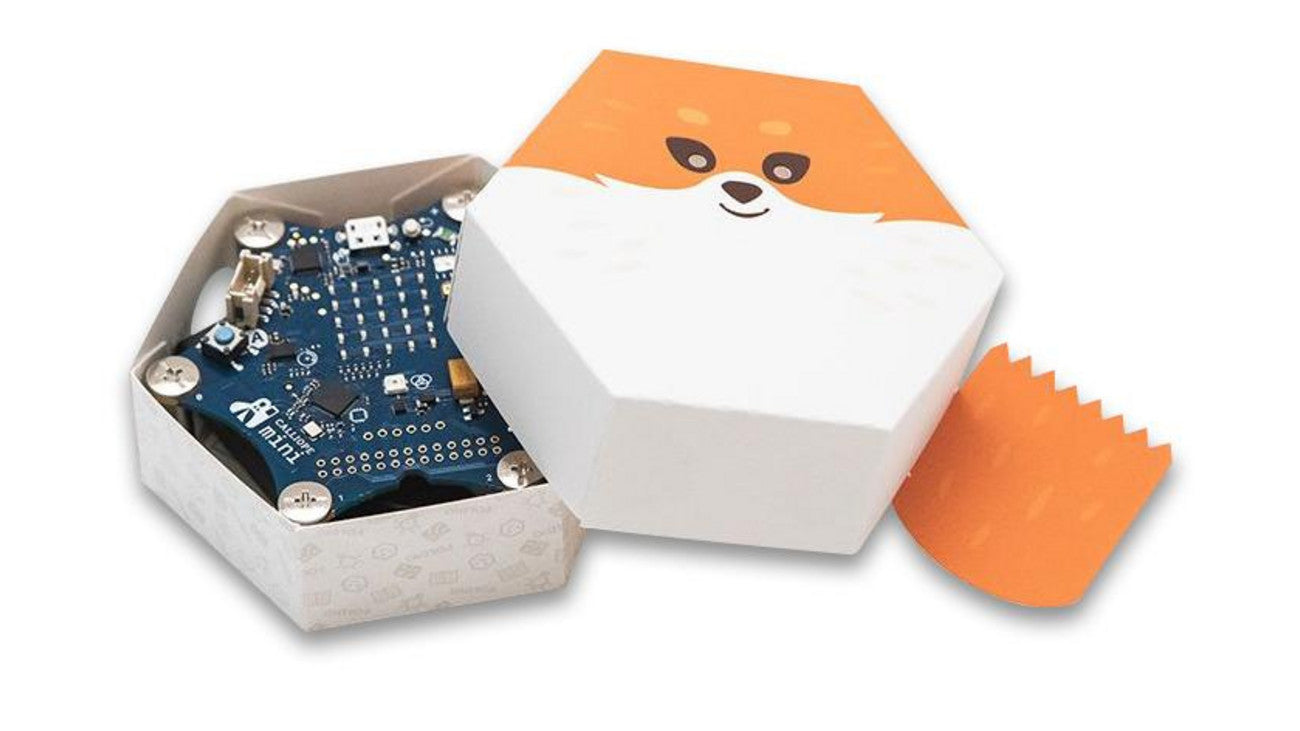 CALLIOPE Starterset für Calliope mini